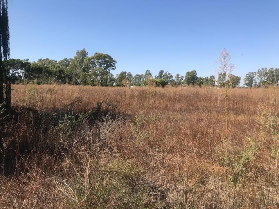 Commercial Property for Sale in Bainsvlei Free State